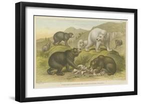 Bears-null-Framed Giclee Print