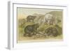 Bears-null-Framed Giclee Print