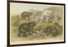 Bears-null-Framed Giclee Print