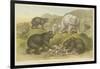 Bears-null-Framed Giclee Print