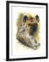 Beastly-Barbara Keith-Framed Giclee Print