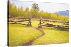 Beaten Path in Turf Ends at Gap between Two Jackleg Rail Fences across Hilly Meadow in Wyoming, Wit-Ken Schulze-Stretched Canvas