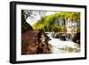 Beaten Track near A Forest Lake and Waterfall in Plitvice Lakes National Park, Croatia-Lamarinx-Framed Photographic Print
