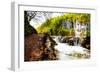 Beaten Track near A Forest Lake and Waterfall in Plitvice Lakes National Park, Croatia-Lamarinx-Framed Photographic Print