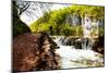 Beaten Track near A Forest Lake and Waterfall in Plitvice Lakes National Park, Croatia-Lamarinx-Mounted Photographic Print