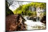 Beaten Track near A Forest Lake and Waterfall in Plitvice Lakes National Park, Croatia-Lamarinx-Mounted Photographic Print