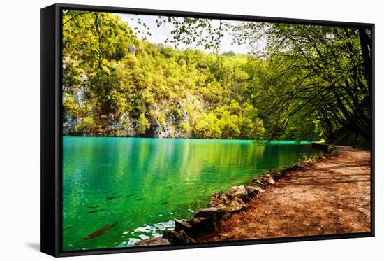 Beaten Track near A Forest Lake in Plitvice Lakes National Park, Croatia-Lamarinx-Framed Stretched Canvas