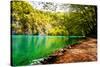 Beaten Track near A Forest Lake in Plitvice Lakes National Park, Croatia-Lamarinx-Stretched Canvas