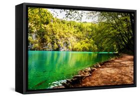 Beaten Track near A Forest Lake in Plitvice Lakes National Park, Croatia-Lamarinx-Framed Stretched Canvas