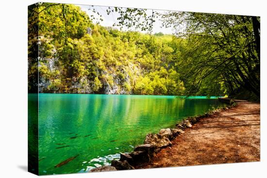 Beaten Track near A Forest Lake in Plitvice Lakes National Park, Croatia-Lamarinx-Stretched Canvas