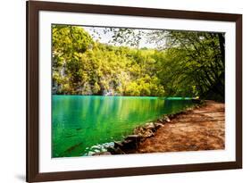 Beaten Track near A Forest Lake in Plitvice Lakes National Park, Croatia-Lamarinx-Framed Photographic Print