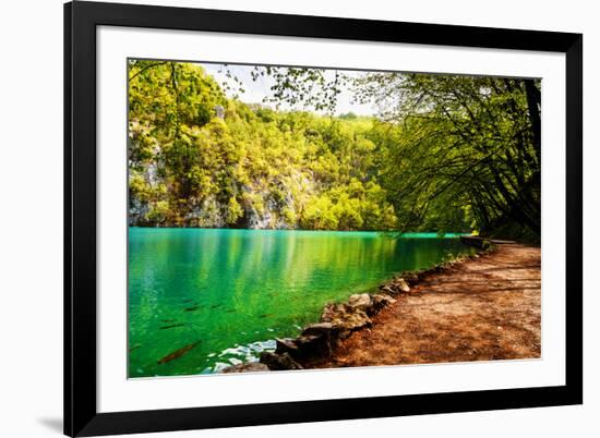 Beaten Track near A Forest Lake in Plitvice Lakes National Park, Croatia-Lamarinx-Framed Photographic Print