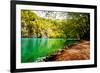 Beaten Track near A Forest Lake in Plitvice Lakes National Park, Croatia-Lamarinx-Framed Photographic Print