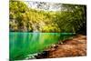 Beaten Track near A Forest Lake in Plitvice Lakes National Park, Croatia-Lamarinx-Mounted Photographic Print