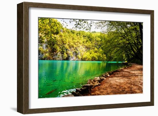 Beaten Track near A Forest Lake in Plitvice Lakes National Park, Croatia-Lamarinx-Framed Photographic Print
