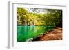 Beaten Track near A Forest Lake in Plitvice Lakes National Park, Croatia-Lamarinx-Framed Photographic Print