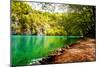 Beaten Track near A Forest Lake in Plitvice Lakes National Park, Croatia-Lamarinx-Mounted Photographic Print