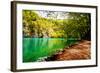 Beaten Track near A Forest Lake in Plitvice Lakes National Park, Croatia-Lamarinx-Framed Photographic Print