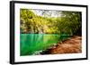 Beaten Track near A Forest Lake in Plitvice Lakes National Park, Croatia-Lamarinx-Framed Photographic Print