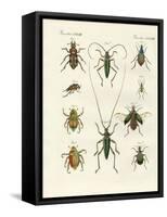 Beatiful Beetles-null-Framed Stretched Canvas