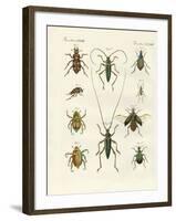 Beatiful Beetles-null-Framed Giclee Print