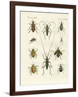 Beatiful Beetles-null-Framed Giclee Print