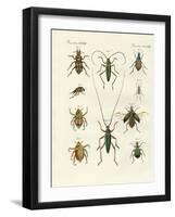 Beatiful Beetles-null-Framed Giclee Print