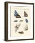 Beatiful Butterflies-null-Framed Giclee Print