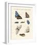 Beatiful Butterflies-null-Framed Giclee Print