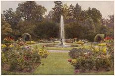 Looking Down a Grass Path with a Bed of Daffodils and Trees on Either Side-Beatrice Parsons-Photographic Print