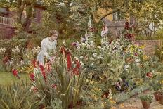 Looking Down a Grass Path with a Bed of Daffodils and Trees on Either Side-Beatrice Parsons-Photographic Print