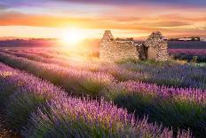 Sun Is Setting over a Beautiful Purple Lavender Filed in Valensole. Provence, France-Beatrice Preve-Framed Photographic Print