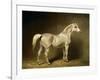 Beatrice, the White Arab Saddlehorse of Helmuth Graf Von Moltke, 1855-Carl Constantin Steffeck-Framed Giclee Print