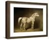 Beatrice, the White Arab Saddlehorse of Helmuth Graf Von Moltke, 1855-Carl Constantin Steffeck-Framed Giclee Print