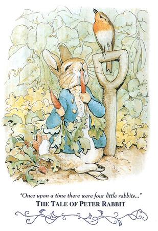 Beatrix Potter Tale Of Peter Rabbit Mrs Rabbit British Childrens Book  Illustrations Cool Wall Decor Art Print Poster 12x18