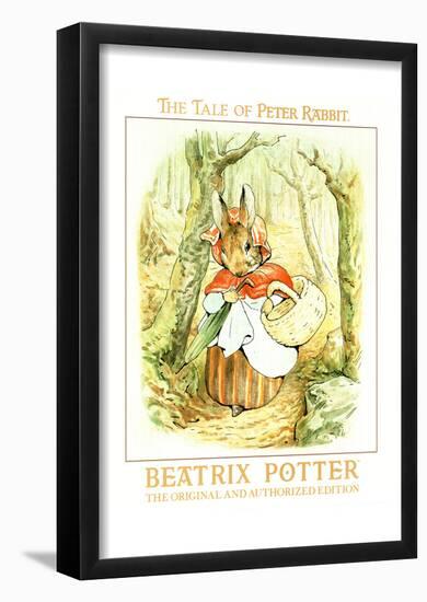 Beatrix Potter The Tale Of Peter Rabbit Art Print Poster-null-Framed Poster