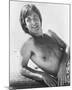 Beau Bridges-null-Mounted Photo