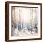 Brown Frame