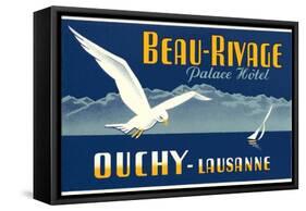 Beau-Rivage Palace Hotel, Seagull-null-Framed Stretched Canvas