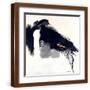 Brown Frame