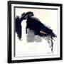 Gramercy Black