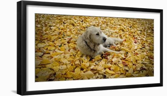 Beau-Valda Bailey-Framed Photographic Print