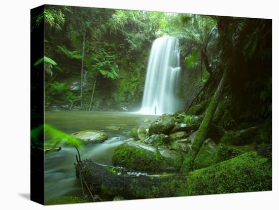 Beauchamp Fall, Waterfall in the Rainforest, Otway N.P., Great Ocean Road, Victoria, Australia-Thorsten Milse-Stretched Canvas