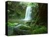 Beauchamp Fall, Waterfall in the Rainforest, Otway N.P., Great Ocean Road, Victoria, Australia-Thorsten Milse-Stretched Canvas