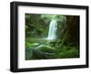 Beauchamp Fall, Waterfall in the Rainforest, Otway N.P., Great Ocean Road, Victoria, Australia-Thorsten Milse-Framed Photographic Print