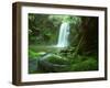 Beauchamp Fall, Waterfall in the Rainforest, Otway N.P., Great Ocean Road, Victoria, Australia-Thorsten Milse-Framed Photographic Print