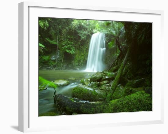 Beauchamp Fall, Waterfall in the Rainforest, Otway N.P., Great Ocean Road, Victoria, Australia-Thorsten Milse-Framed Photographic Print