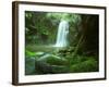 Beauchamp Fall, Waterfall in the Rainforest, Otway N.P., Great Ocean Road, Victoria, Australia-Thorsten Milse-Framed Photographic Print