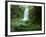 Beauchamp Fall, Waterfall in the Rainforest, Otway N.P., Great Ocean Road, Victoria, Australia-Thorsten Milse-Framed Photographic Print