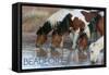 Beaufort, North Carolina - Ponies Drinking-Lantern Press-Framed Stretched Canvas